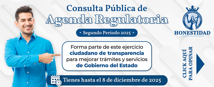 BannerWebsite_880x360_consulta